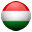 Executives in Hungary