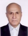 Vetted COO/Managing Director executive based in Iran