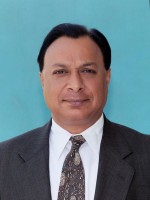 Vetted Sales & Marketing Director executive based in USA