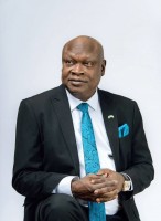 Vetted Business Development Director executive based in Nigeria