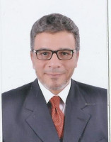 Vetted CEO executive based in Egypt