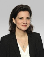 Vetted COO/Managing Director executive based in France