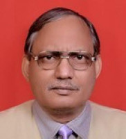 Vetted Business Development Director executive based in India