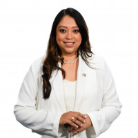Vetted Sales & Marketing Director executive based in Mauritius
